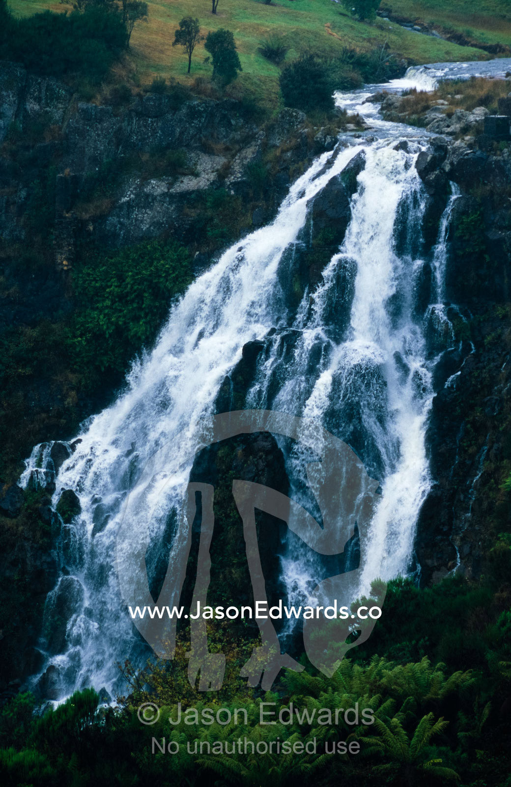 A large waterfall cascading down a cliff into Waratah Gorge. Waratah, Tasmania, Australia.