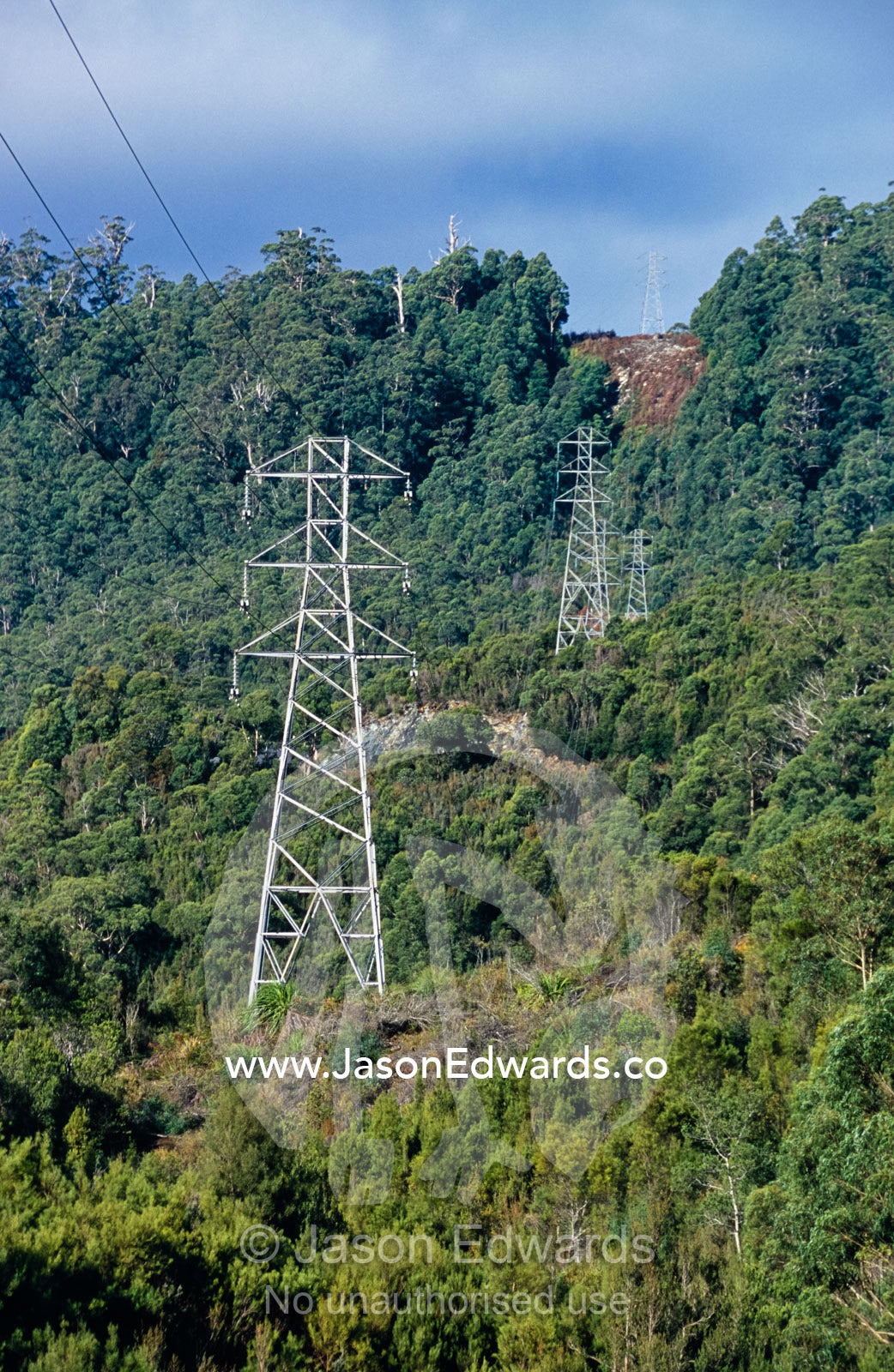 Electricity powerlines and a fire break in a tall wet eucalypt forest. Tarkine Wilderness Area, Tasmania, Australia.