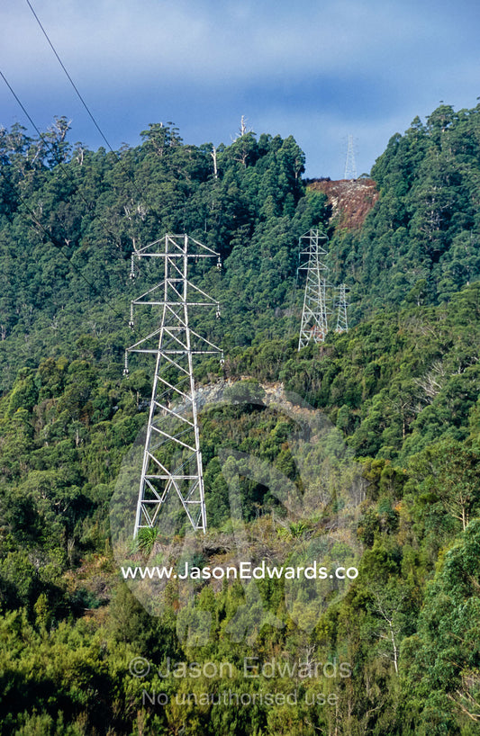Electricity powerlines and a fire break in a tall wet eucalypt forest. Tarkine Wilderness Area, Tasmania, Australia.
