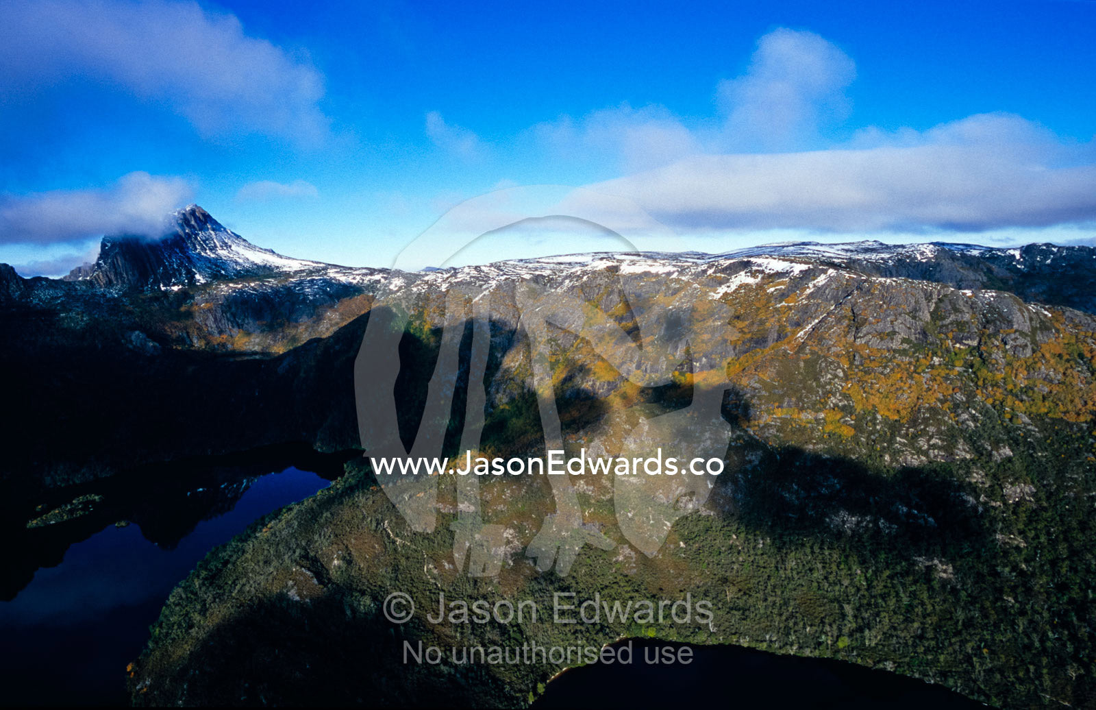 Deciduous Beech in Fall foliage beneath snow covered Cradle Mountain. Cradle Mountain, Lake St. Clair National Park, Tasmania, Australia.