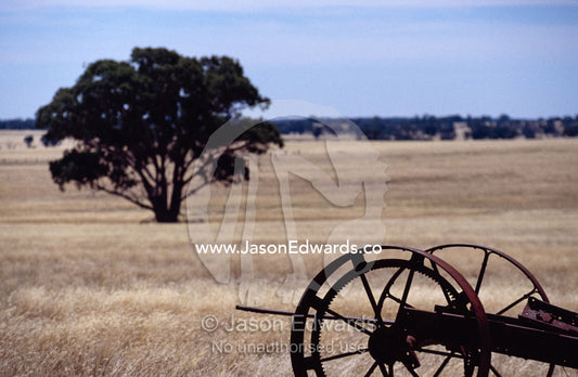 Antique farm machinery rusting in a drought-stricken farm field. near Rheola, Central Victoria, Australia.