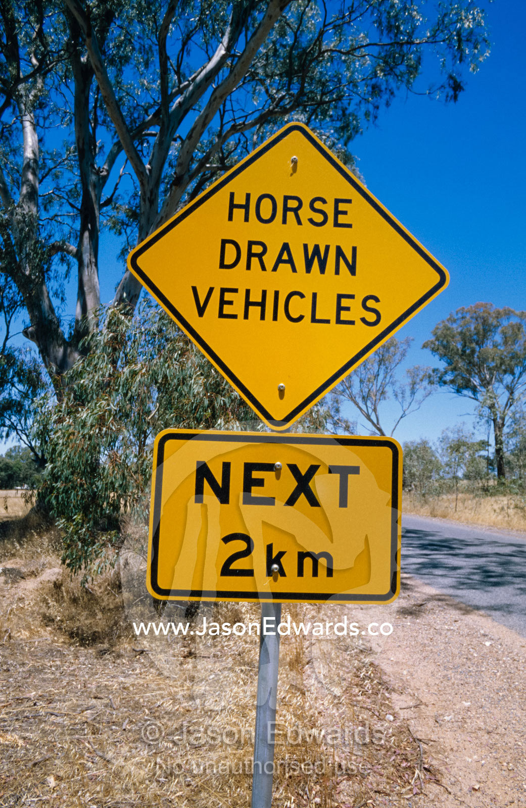 Bright yellow roadside graphics warn of horse-drawn traffic. near Rheola, Central Victoria, Australia.
