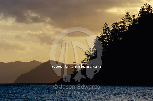 Tropical island mountain tops and pine trees silhouetted at sunset. South Molle Island, Whitsunday Islands, Queensland, Australia.