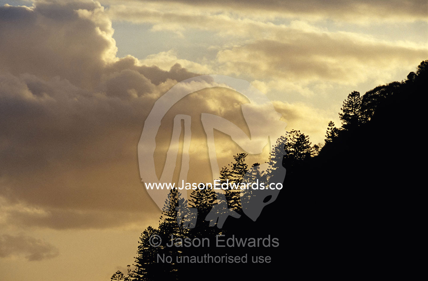 Tropical island mountain tops and pine trees silhouetted at sunset. South Molle Island, Whitsunday Islands, Queensland, Australia.