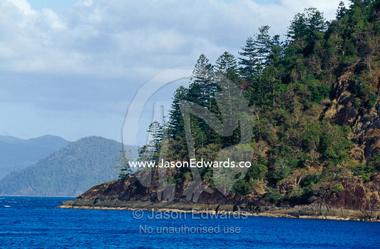 Tropical forest covers an escarpment after fire on South Molle Island. Whitsunday Islands, Queensland, Australia.