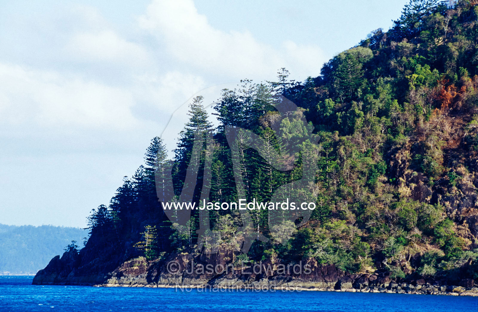 Tropical forest covers an escarpment after fire on South Molle Island. Whitsunday Islands, Queensland, Australia.