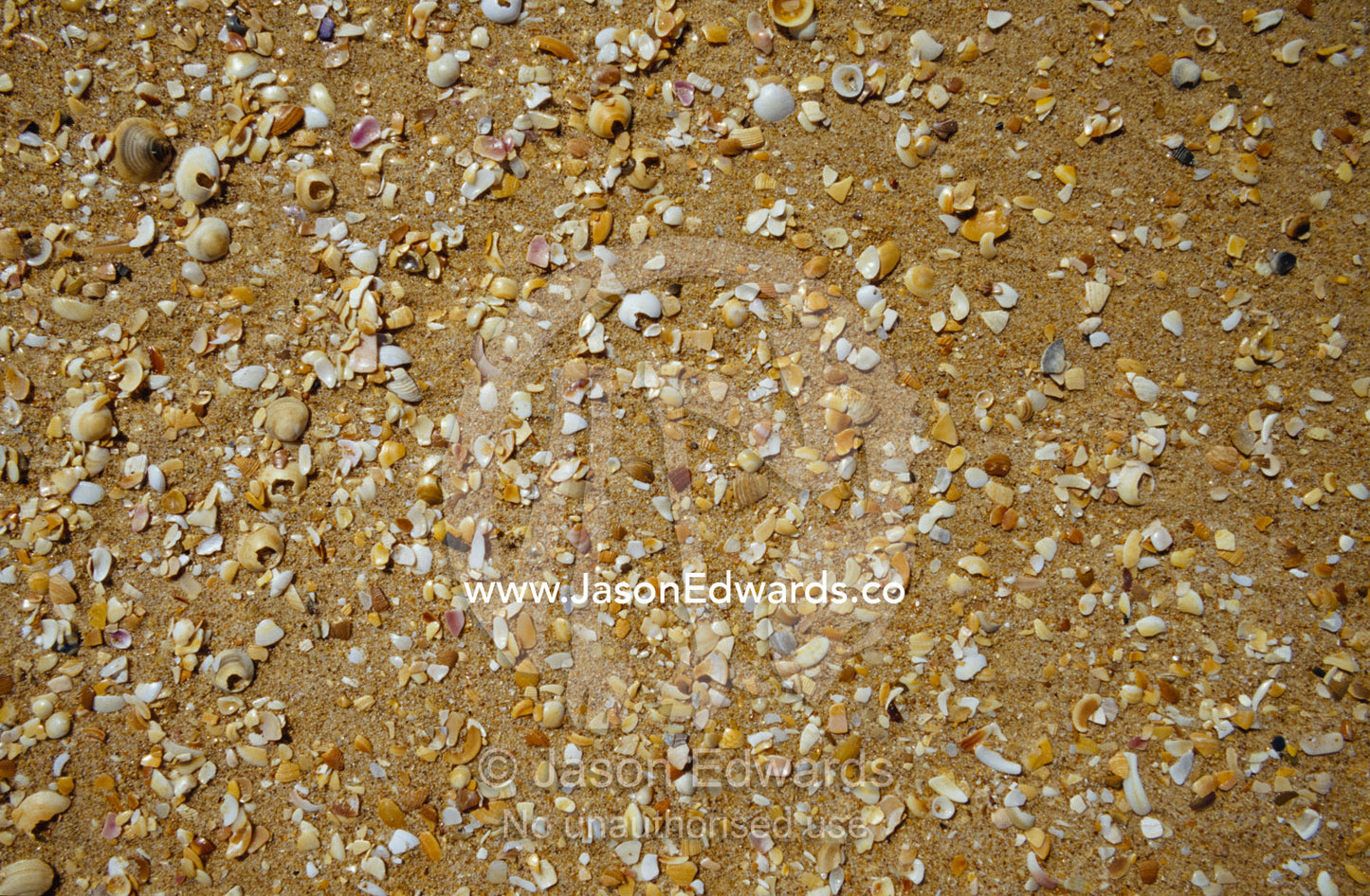 A detail of the texture of sand and shells on the Ninety Mile Beach. The Lakes National Park, Victoria, Australia.