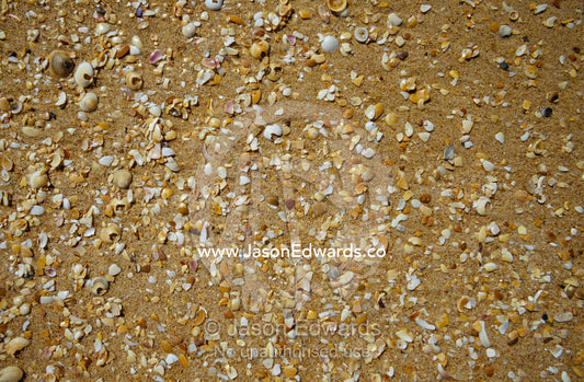 A detail of the texture of sand and shells on the Ninety Mile Beach. The Lakes National Park, Victoria, Australia.