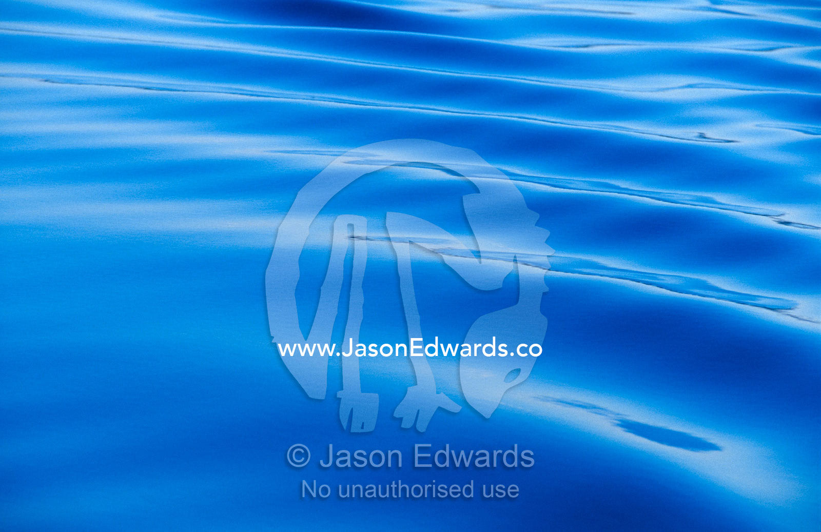 The ripples from a motor boat wake flow across a still lake surface. The Lakes National Park, Victoria, Australia.