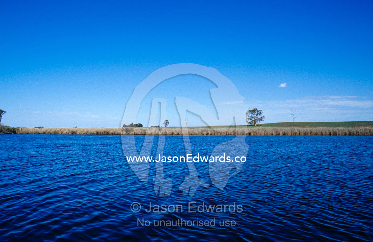 Rich agricultural farmland lining the Tambo River. The Lakes National Park, Victoria, Australia.