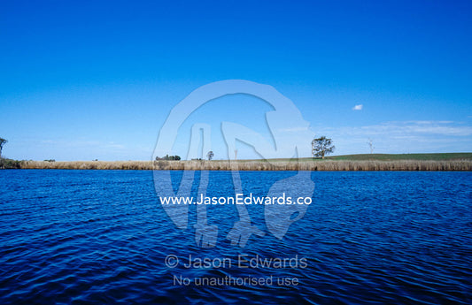 Rich agricultural farmland lining the Tambo River. The Lakes National Park, Victoria, Australia.
