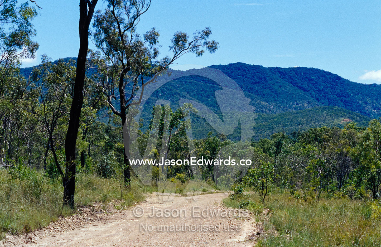A dirt track leads to rainforest on the slopes of Mount Fraser. Mount Fraser, north of Mount Malloy, Queensland, Australia.