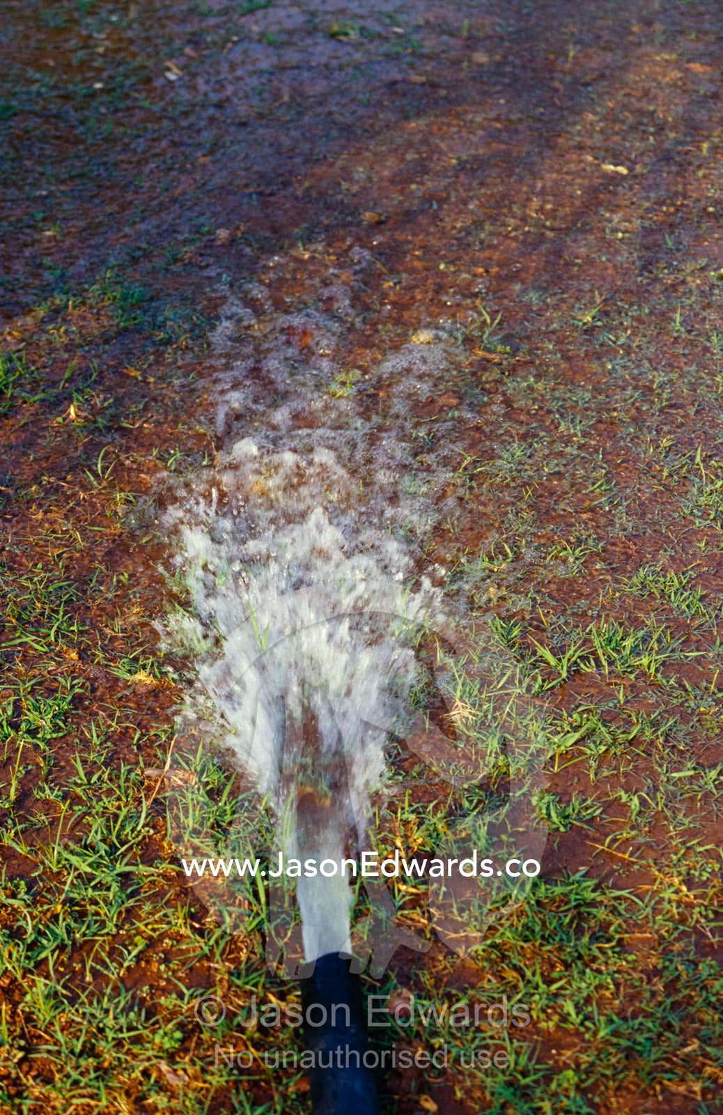 A huge hose pours water onto the ground during the dry season drought. Sarnath, Varanassi, India.