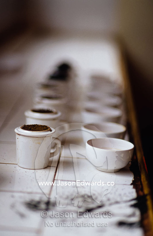 Small cups hold samples of freshly ground tea for taste testing. Nuwara Eliya, Sri Lanka.