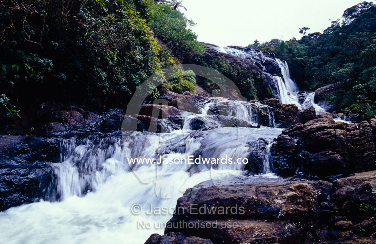 A crisp, clear waterfall cascades through a Montane Cloud Forest. Horton Plains National Park, Sri Lanka.