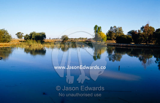 Breeding ponds for harvesting Freshwater Leeches aka Striped Leeches. Echuca, Victoria, Australia.