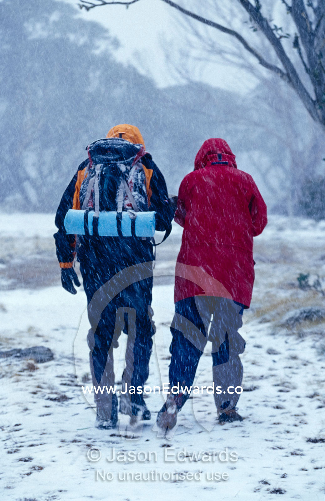 A young couple hiking across an alpine plain during a snow storm. JB Plain Alpine National Park, Victoria, Australia.