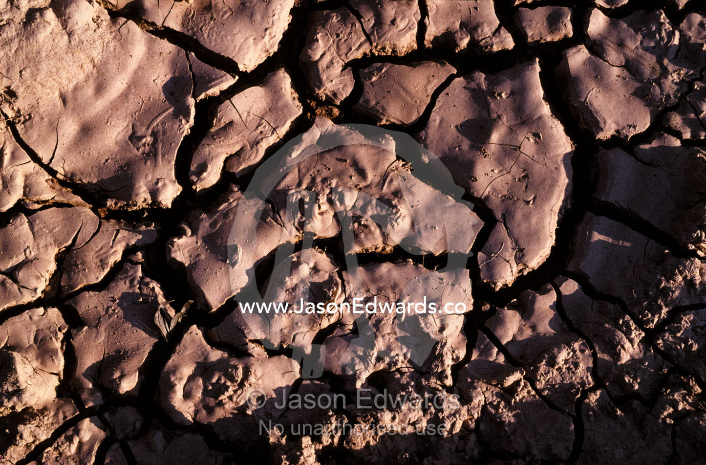 At the height of the dry season wetland evaporate exposing cracked mud Pantanal National Park, Brazil.