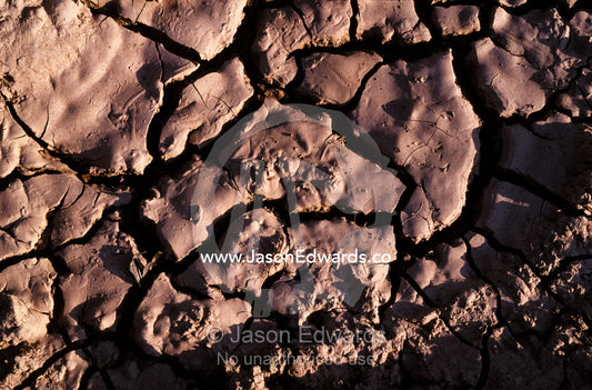 At the height of the dry season wetland evaporate exposing cracked mud Pantanal National Park, Brazil.