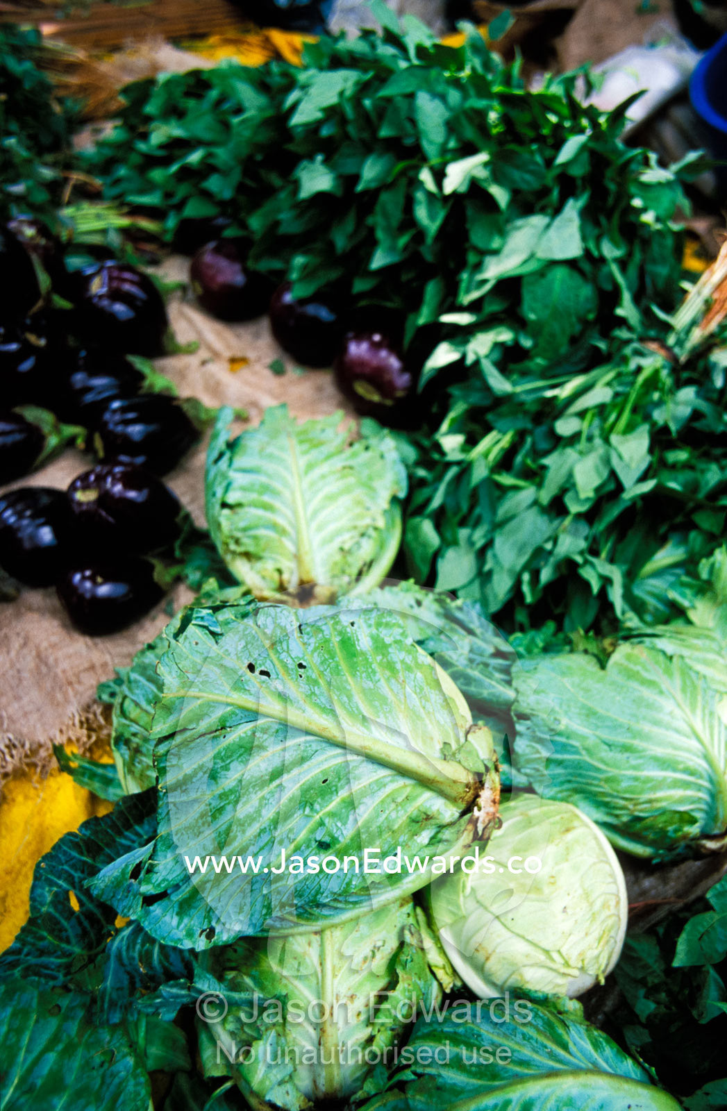 Eggplant, cabbage and leafy greens for sale in an open air market. Tororo District, Uganda.