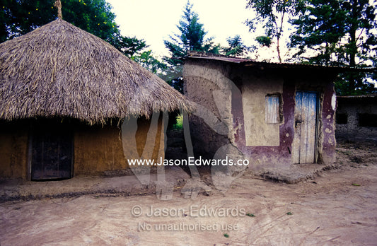 A thatched hut and a tool shed in a small African village. Tororo District, Uganda.