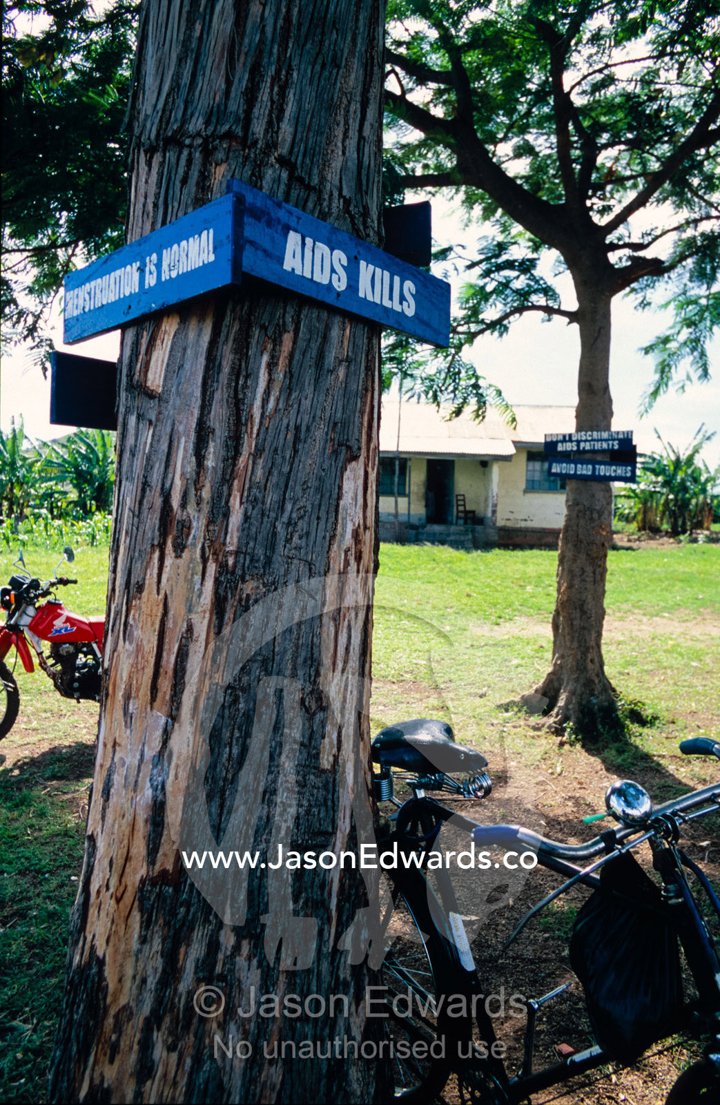 HIV AIDS warning graphics attached to trees in a school playground. Tororo Prison School, Tororo District, Uganda.