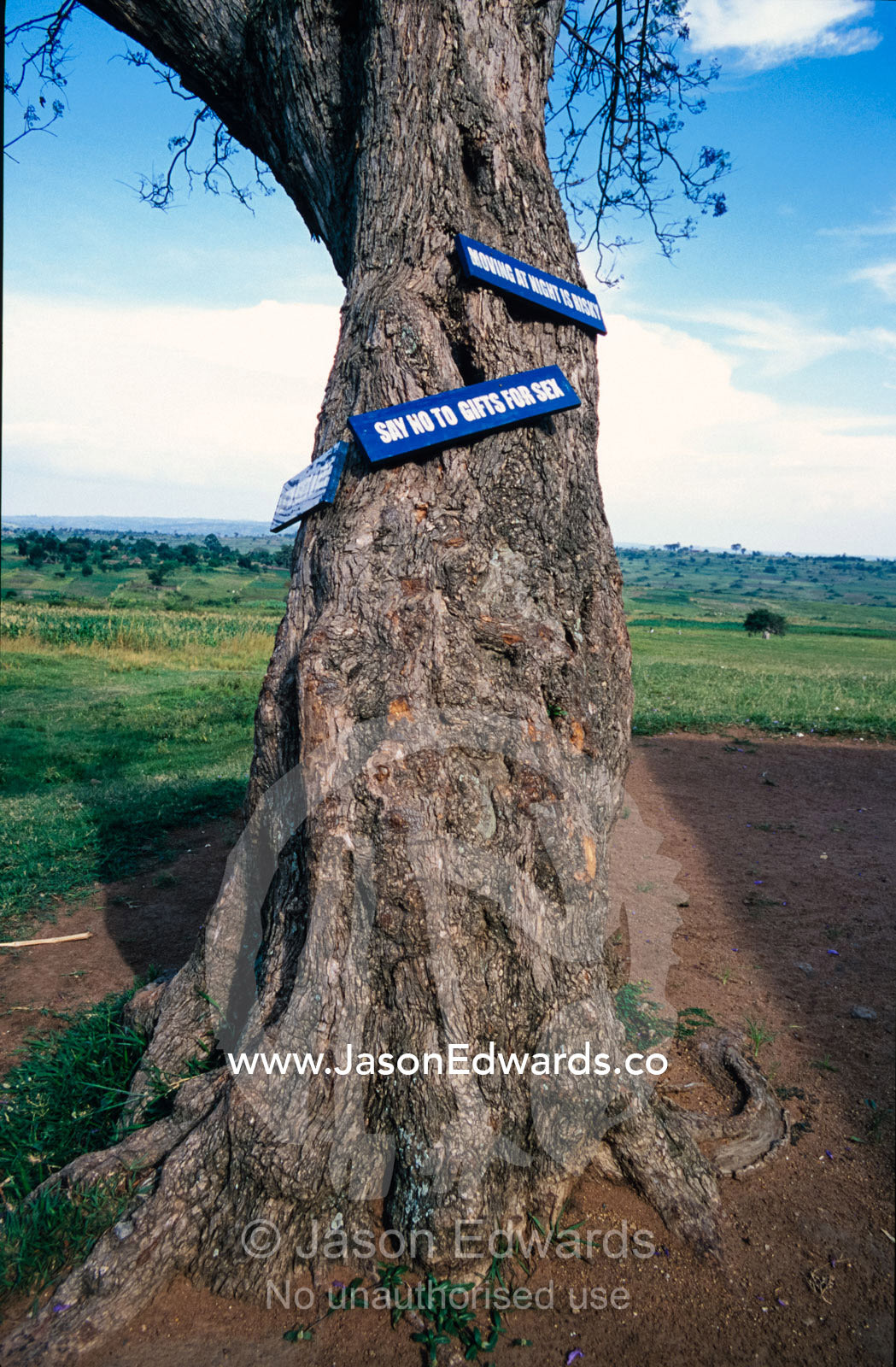 HIV AIDS warning graphics attached to trees in a school playground. Tororo Prison School, Tororo District, Uganda.
