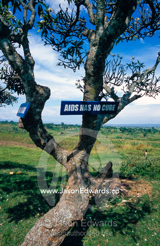 HIV AIDS warning graphics attached to trees in a school playground. Tororo Prison School, Tororo District, Uganda