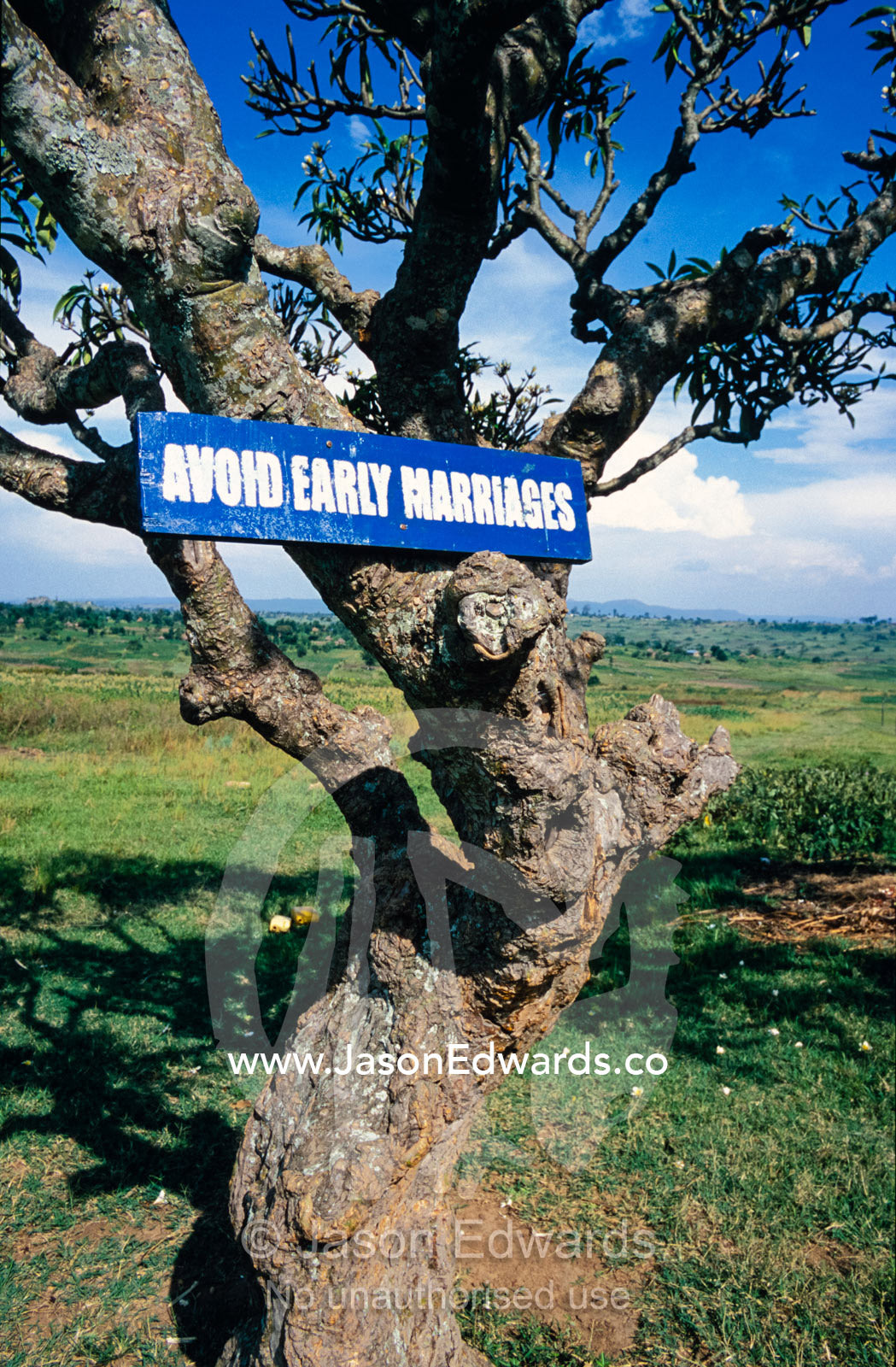 HIV AIDS warning graphics attached to trees in a school playground. Tororo Prison School, Tororo District, Uganda.