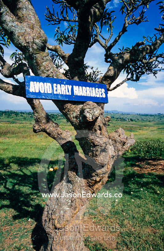 HIV AIDS warning graphics attached to trees in a school playground. Tororo Prison School, Tororo District, Uganda.