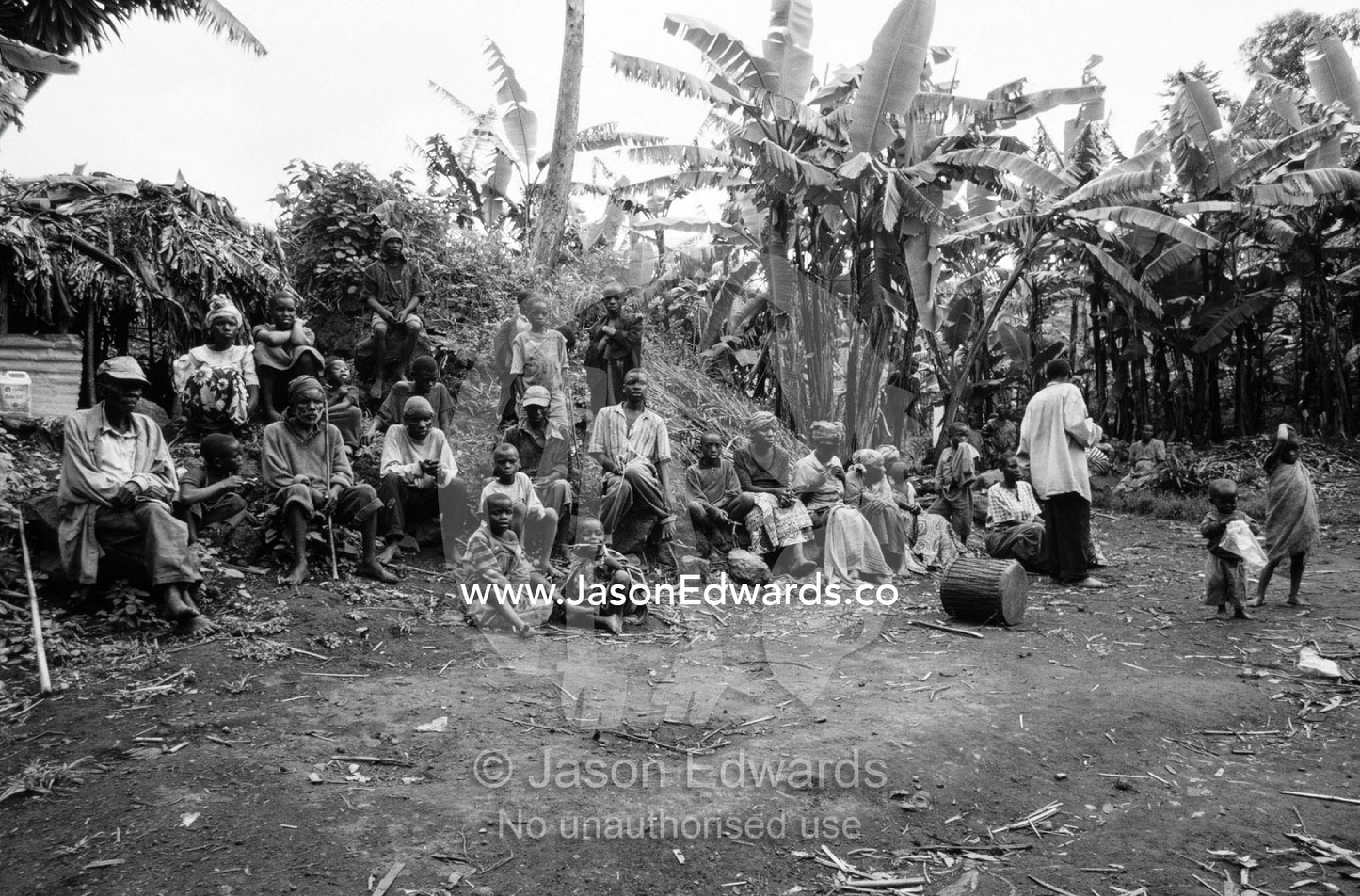 Displaced Batwa Forest People forced to live in a banana plantation. Kisoro District, South Western Uganda.