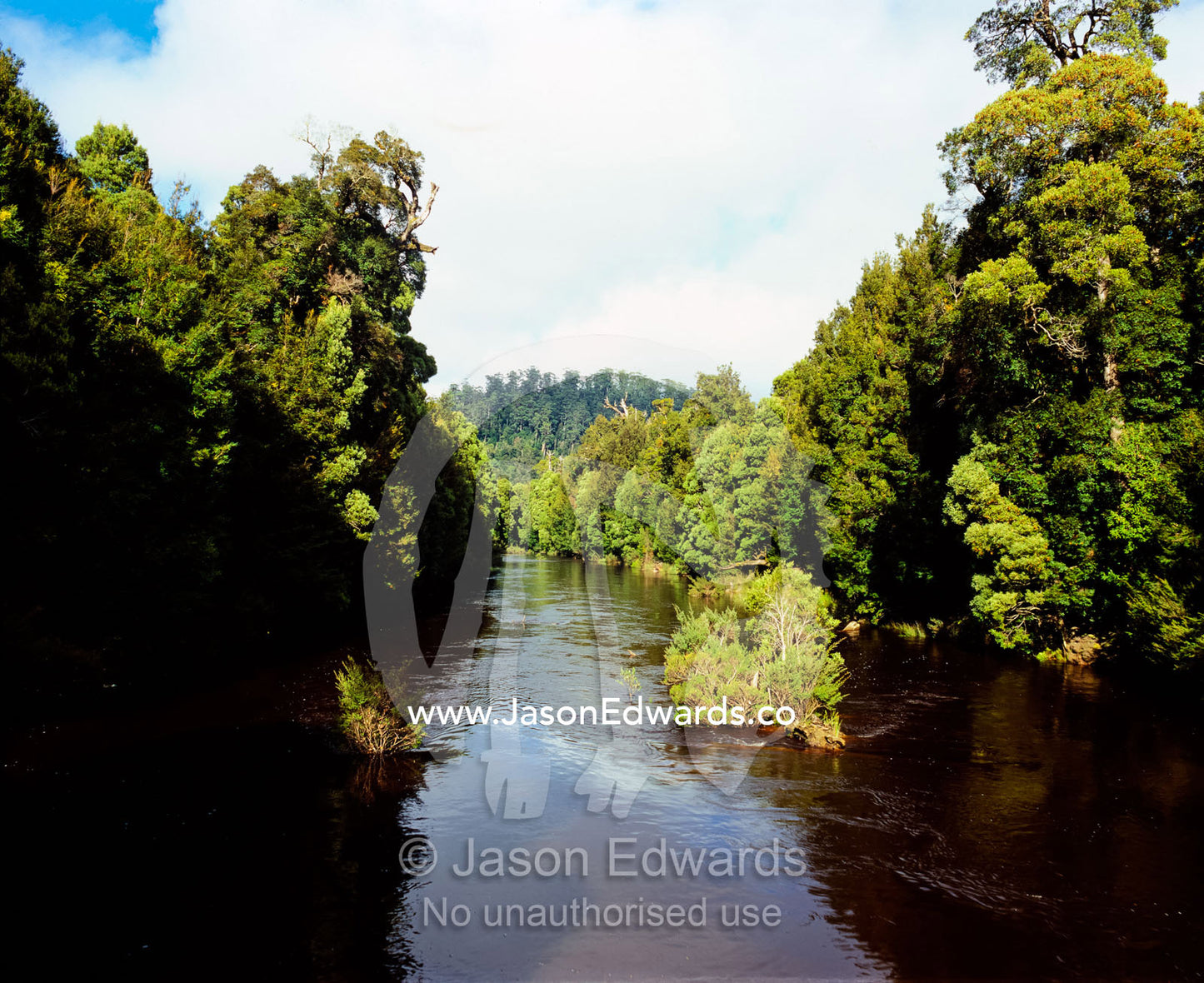 Cool Temperate Rainforest lining the remote Savage River. Tarkine Wilderness Area, Tasmania, Australia.