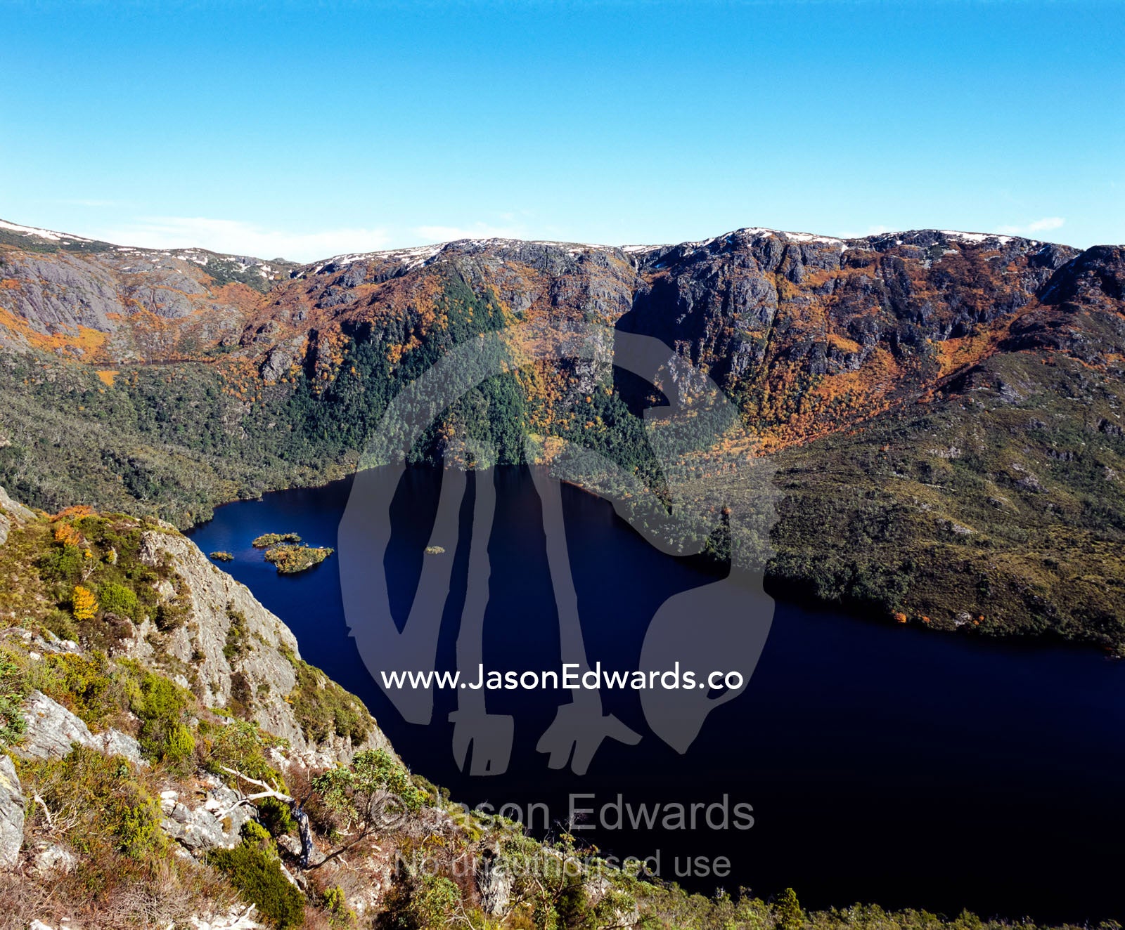 Deciduous Beech, Nothofagus gunnii, lining the cliffs above Dove Lake. Cradle Mountain, Lake St Clair National Park, Tasmania, Australia.
