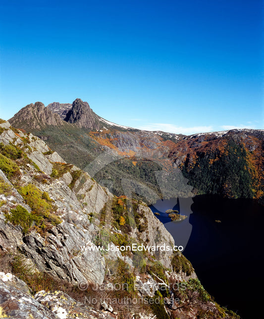 Deciduous Beech, Nothofagus gunnii, lining the cliffs above Dove Lake. Cradle Mountain, Lake St Clair National Park, Tasmania, Australia.