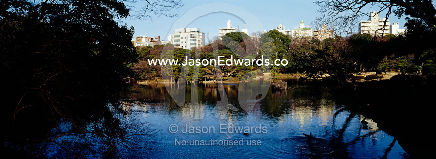 An ancient Japanese garden and traditional lake surrounded by a city. Rikugien Gardens, Komagome, Tokyo, Japan.