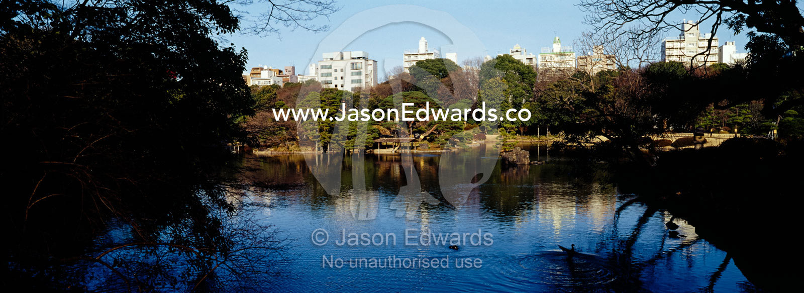 An ancient Japanese garden and traditional lake surrounded by a city. Rikugien Gardens, Komagome, Tokyo, Japan.