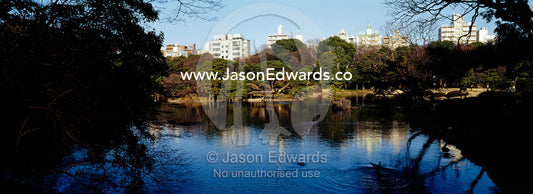 An ancient Japanese garden and traditional lake surrounded by a city. Rikugien Gardens, Komagome, Tokyo, Japan.