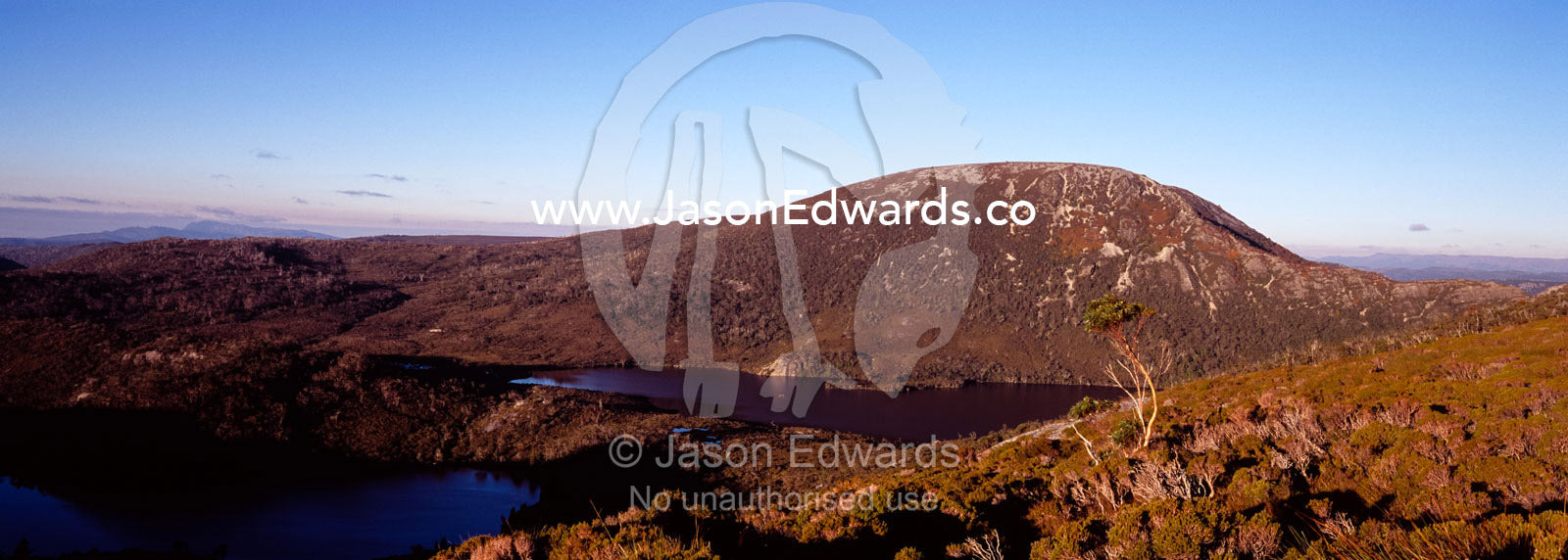Sunset over the forested slopes of Marions Lookout and Mount Campbell. Cradle Mountain Lake St Clair National Park, Tasmania, Australia.
