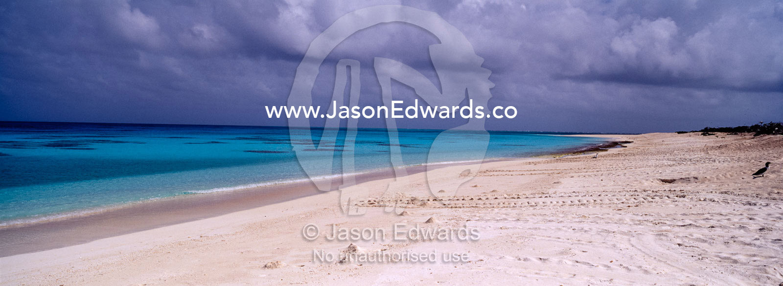 The white sands of a deserted tropical island beach and turquoise seas East Diamond Island, Coral Sea Island Territory, Australia.