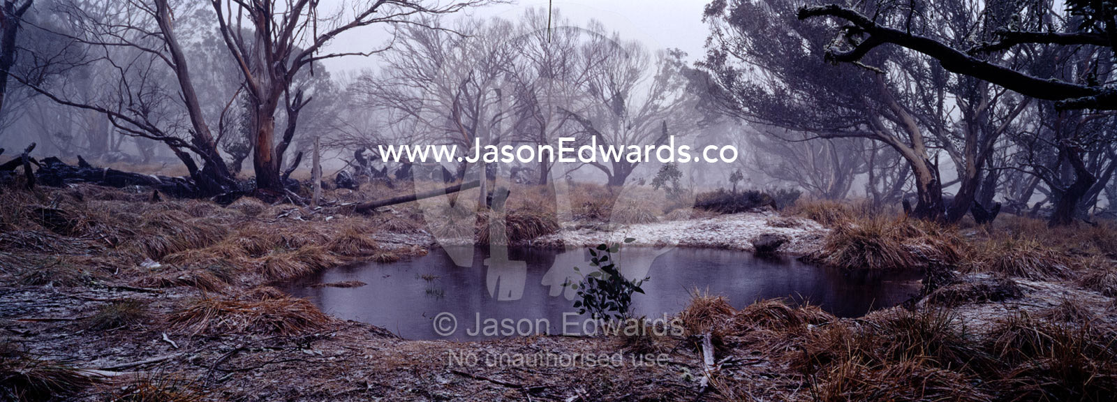 Light snow covers a charred stand of forest and a small alpine pool. JB Plain, Alpine National Park, Victoria, Australia.