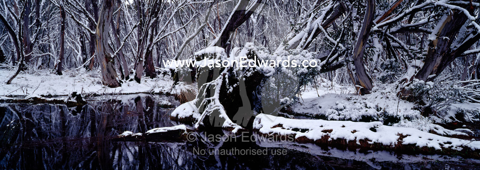 Light snow covers a forest of Snow Gum surrounding a small alpine pool Mount Hotham, Alpine National Park, Victoria, Australia.