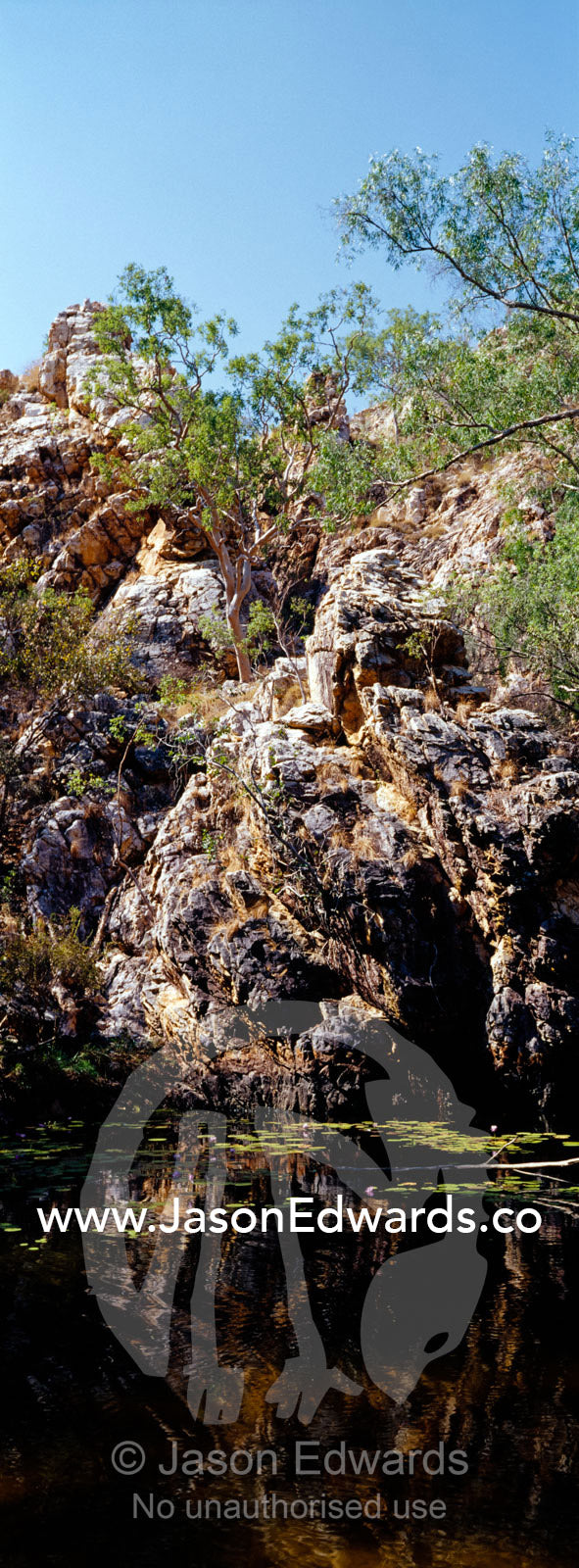 Ancient red cliffs fall down into a cool spring-fed oasis in the desert. Limmen National Park, Northern Territory, Australia.