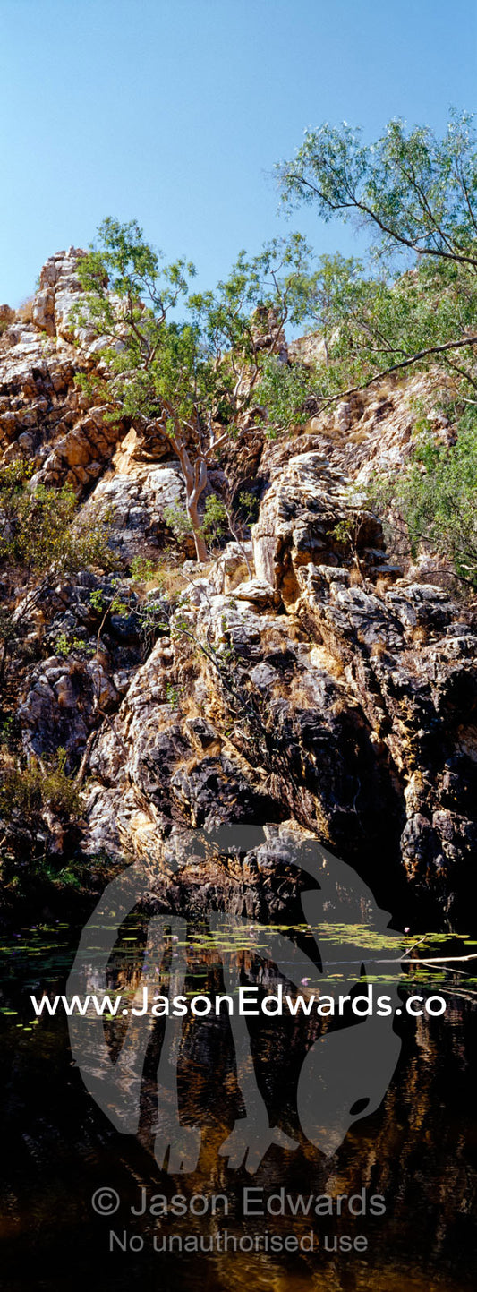 Ancient red cliffs fall down into a cool spring-fed oasis in the desert. Limmen National Park, Northern Territory, Australia.