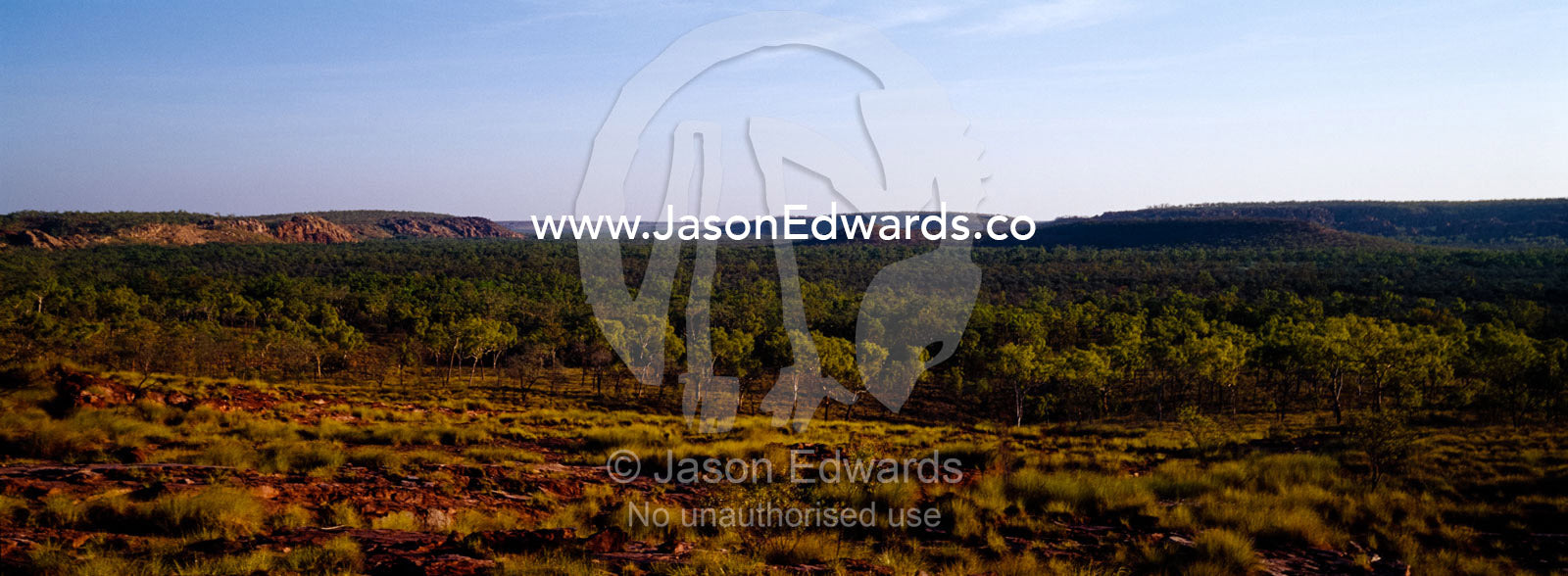 Open woodland and Spinifex grasslands dominate a vast ancient, valley. Limmen National Park, Northern Territory, Australia.