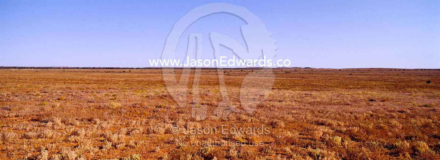 Afternoon over the vast and featureless desert plain near Broken Hill. near Broken Hill, New South Wales, Australia.