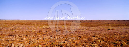 Afternoon over the vast and featureless desert plain near Broken Hill. near Broken Hill, New South Wales, Australia.