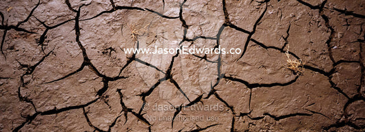 At the height of the dry season mud cracks under the baking sun. Udawalawe National Park, Sri Lanka.