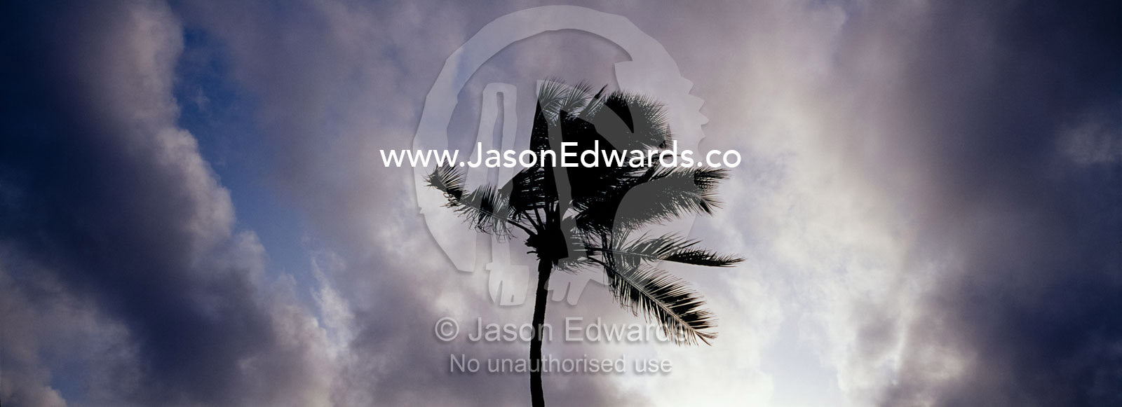 Palm Trees laden with coconuts silhouetted against a tropical storm. Negombo Beach, Sri Lanka.