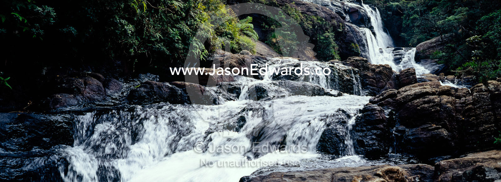 A clear, fresh waterfall cascades through Montane Cloud Forest. Horton Plains National Park, Sri Lanka.