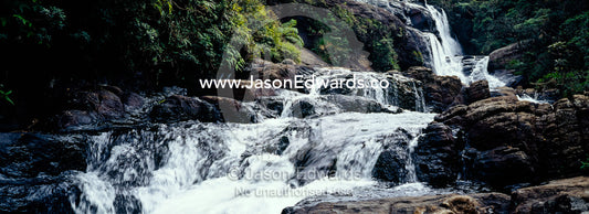 A clear, fresh waterfall cascades through Montane Cloud Forest. Horton Plains National Park, Sri Lanka.